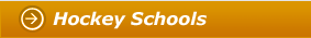 Hockey Schools